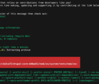 Lando Update of drupal core failed RuntimeException Could not delete /app/vendor/composer/